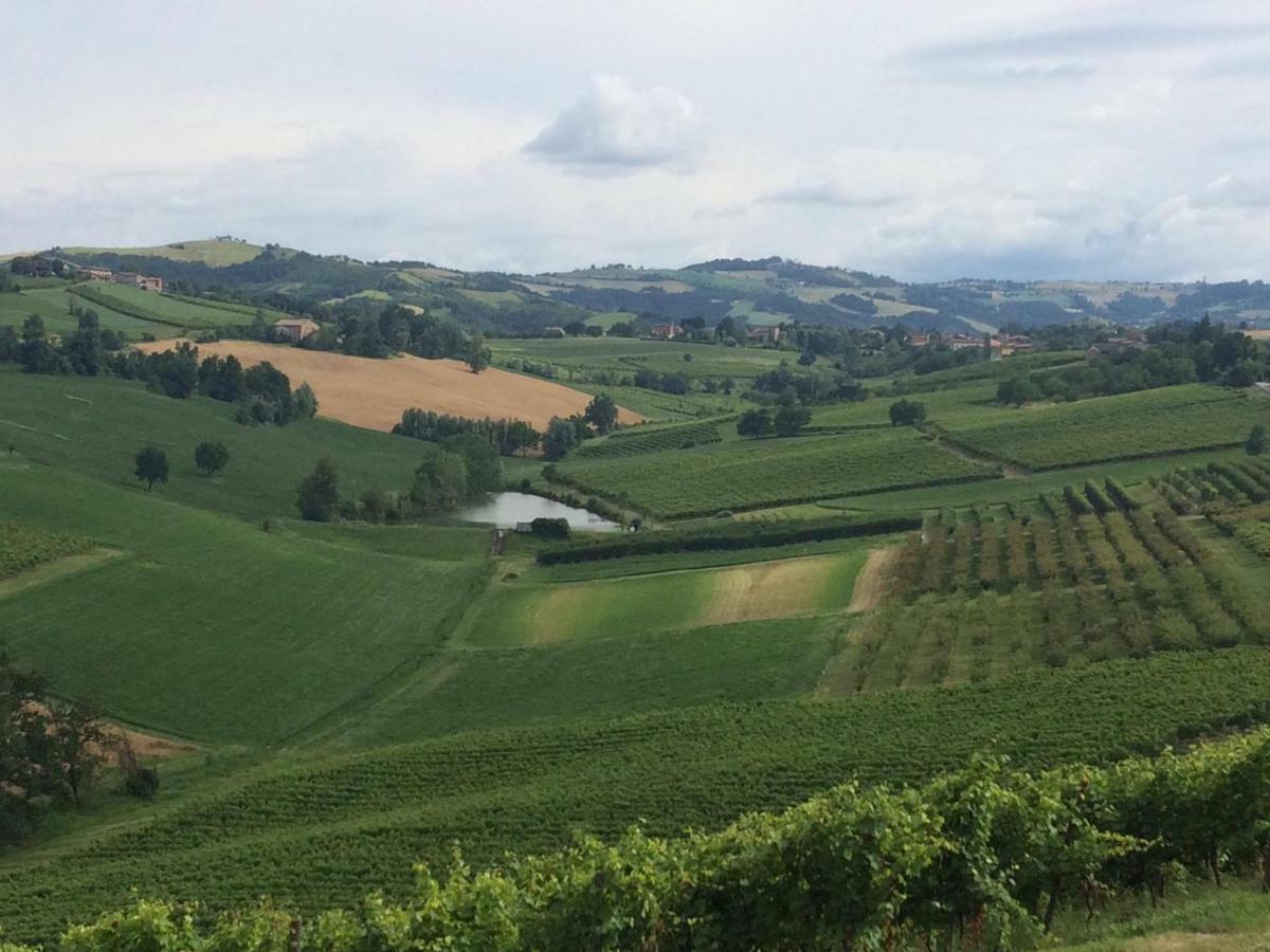 Il Giardino B&B Castelvetro di Modena Dış mekan fotoğraf