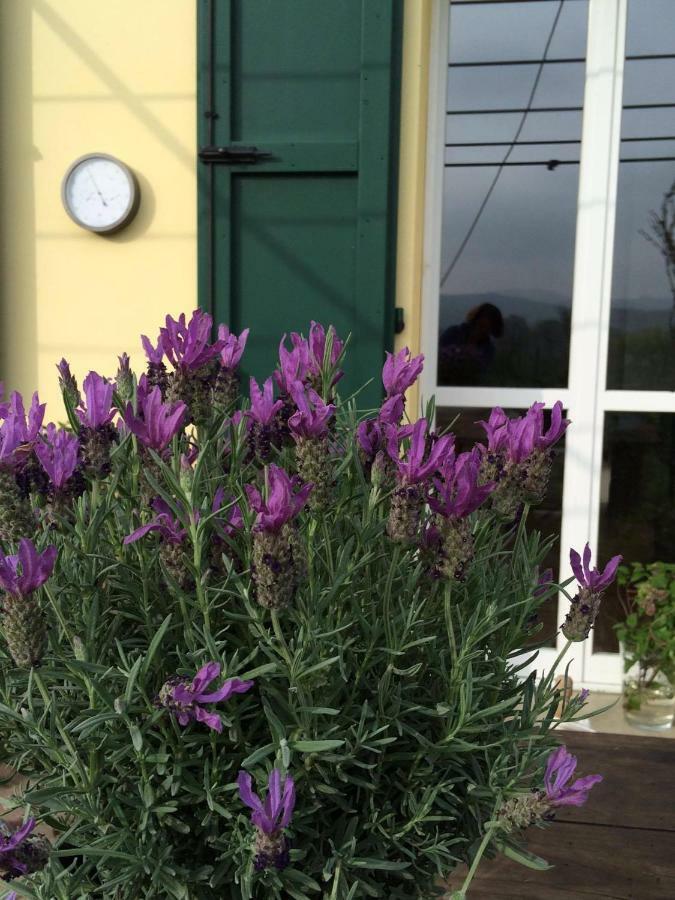 Il Giardino B&B Castelvetro di Modena Dış mekan fotoğraf