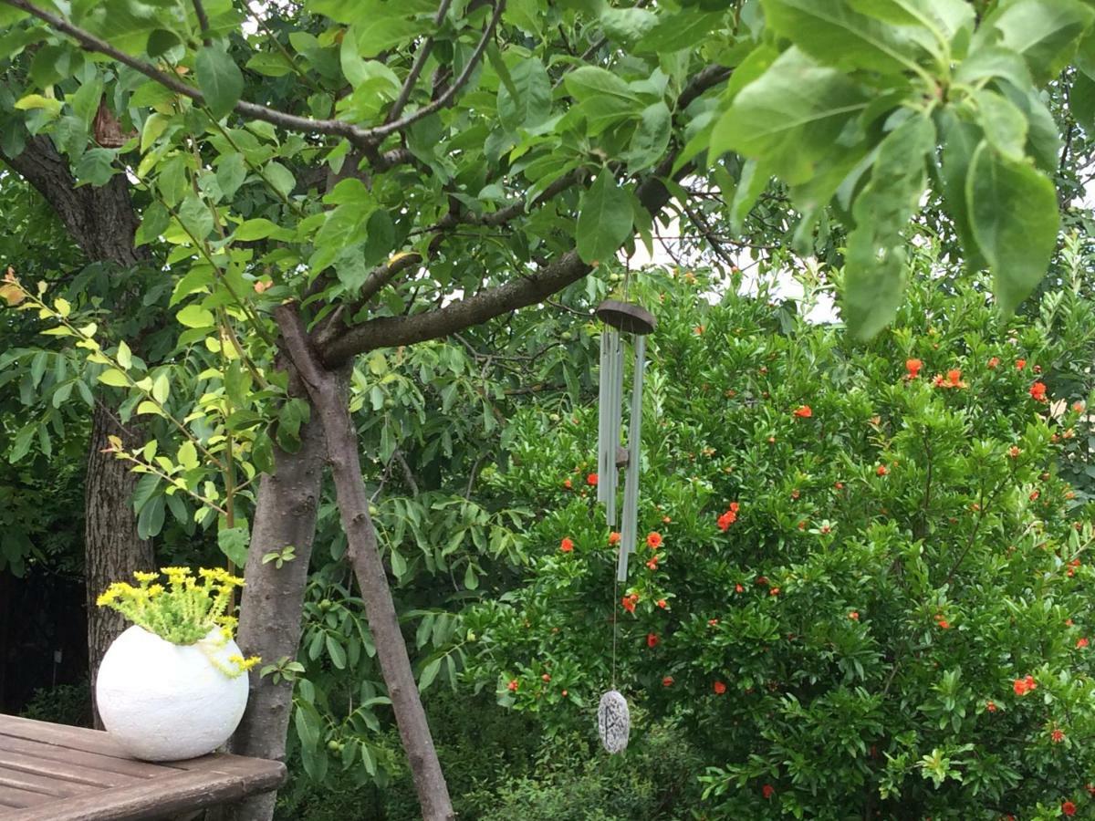 Il Giardino B&B Castelvetro di Modena Dış mekan fotoğraf