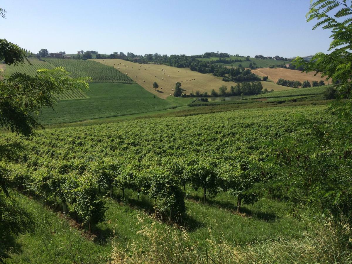 Il Giardino B&B Castelvetro di Modena Dış mekan fotoğraf