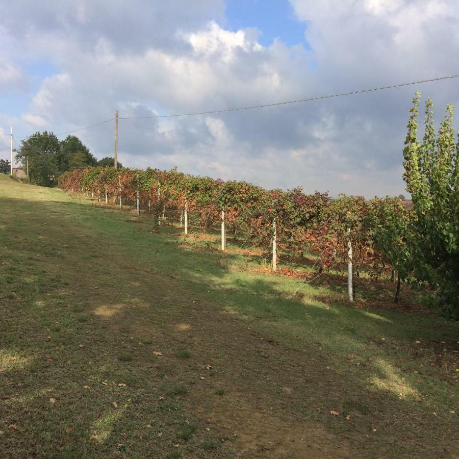 Il Giardino B&B Castelvetro di Modena Dış mekan fotoğraf
