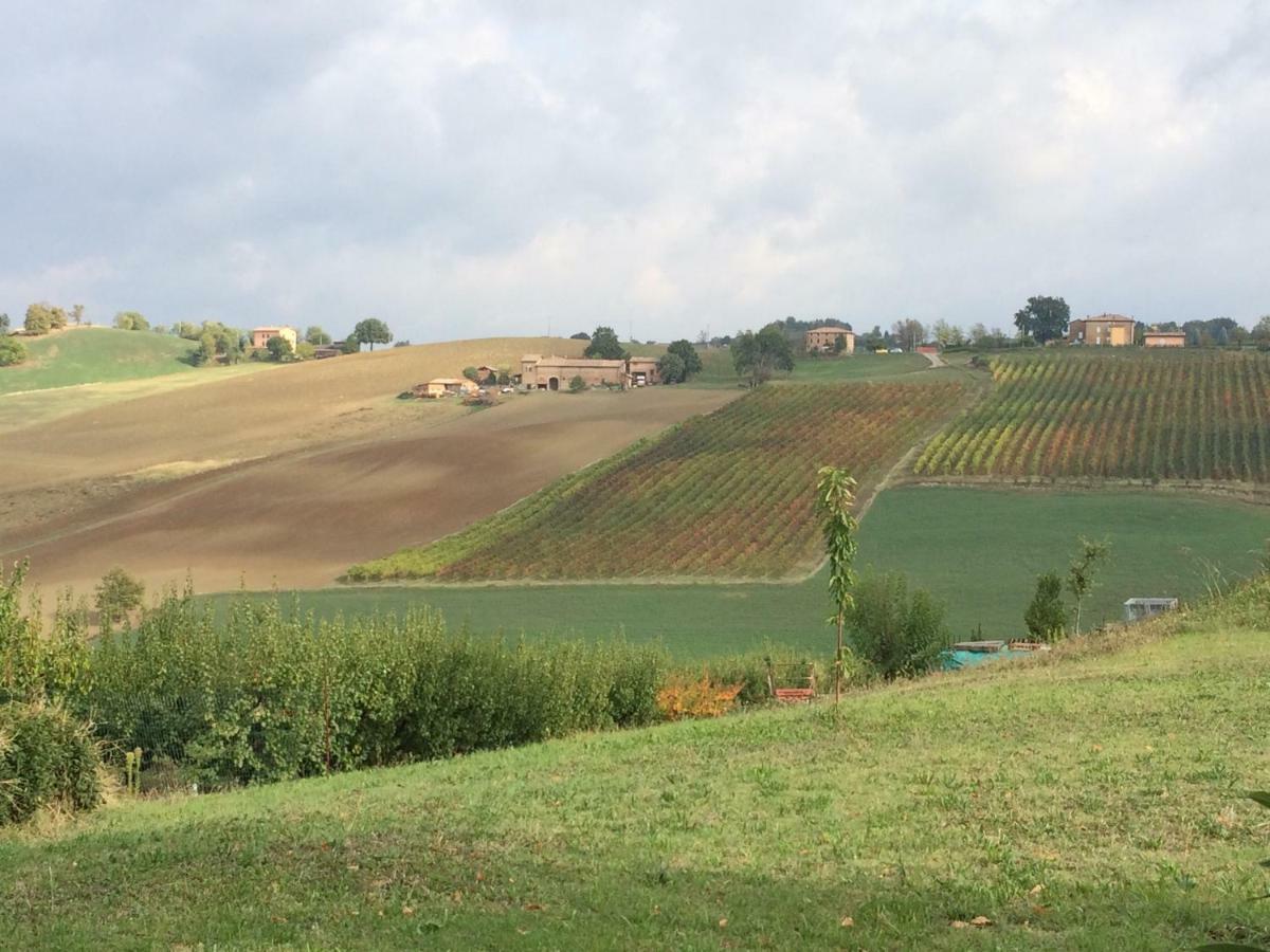 Il Giardino B&B Castelvetro di Modena Dış mekan fotoğraf