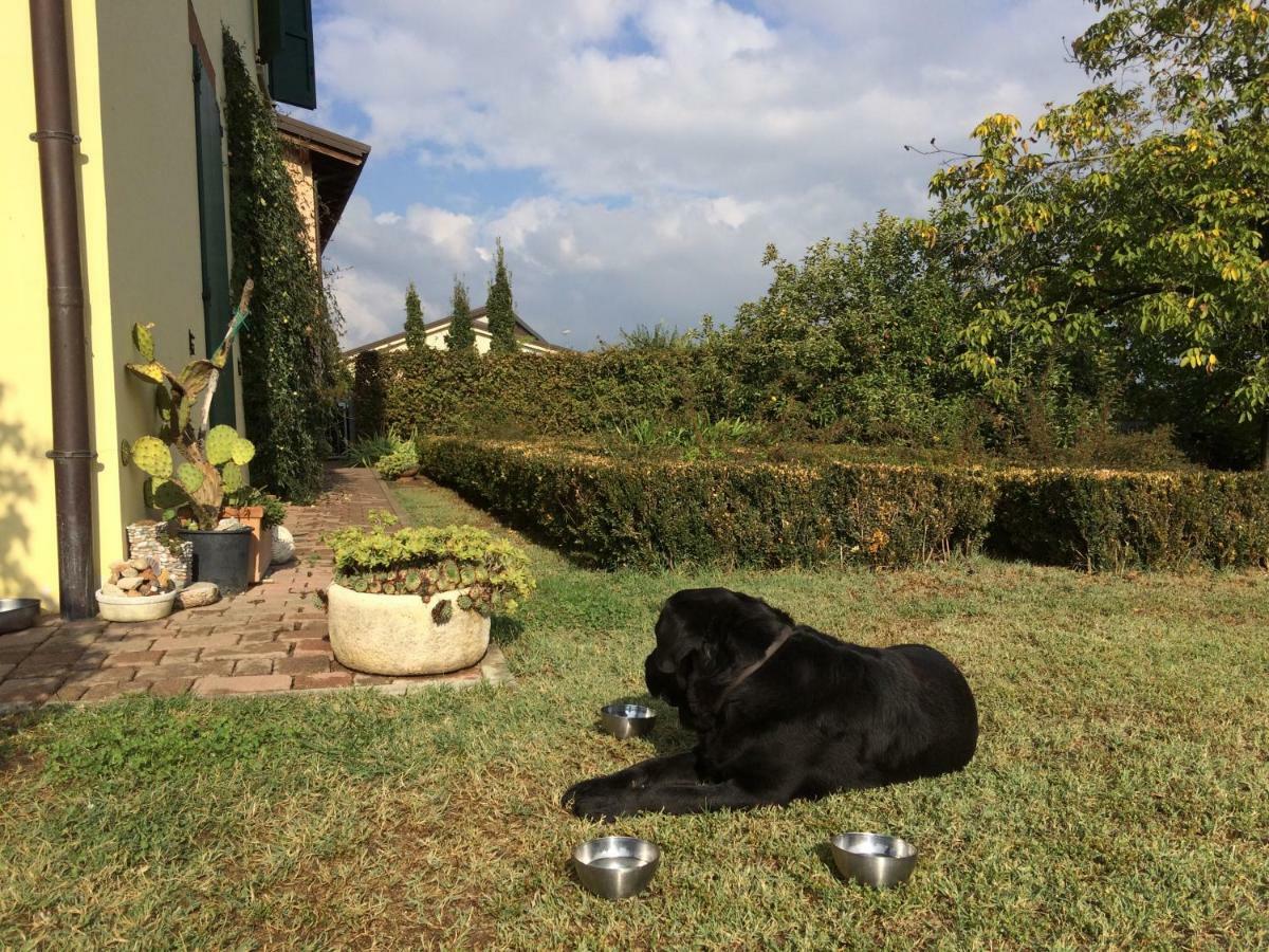 Il Giardino B&B Castelvetro di Modena Dış mekan fotoğraf