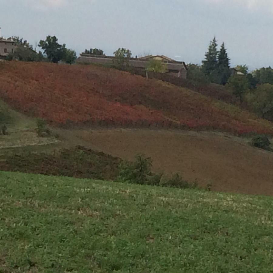 Il Giardino B&B Castelvetro di Modena Dış mekan fotoğraf